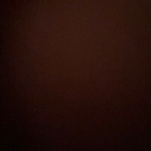 Meet your Posher, Chase